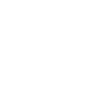Тест